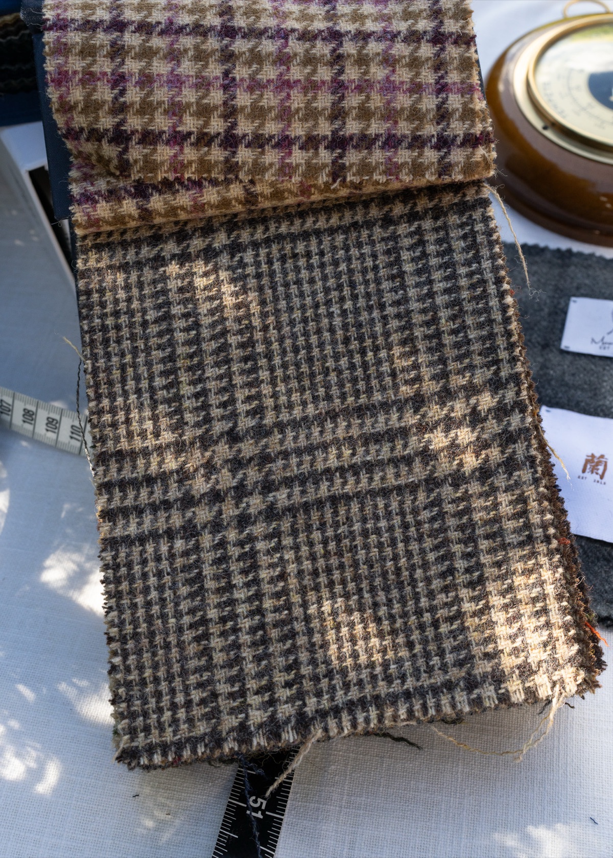 Bracken Puppytooth