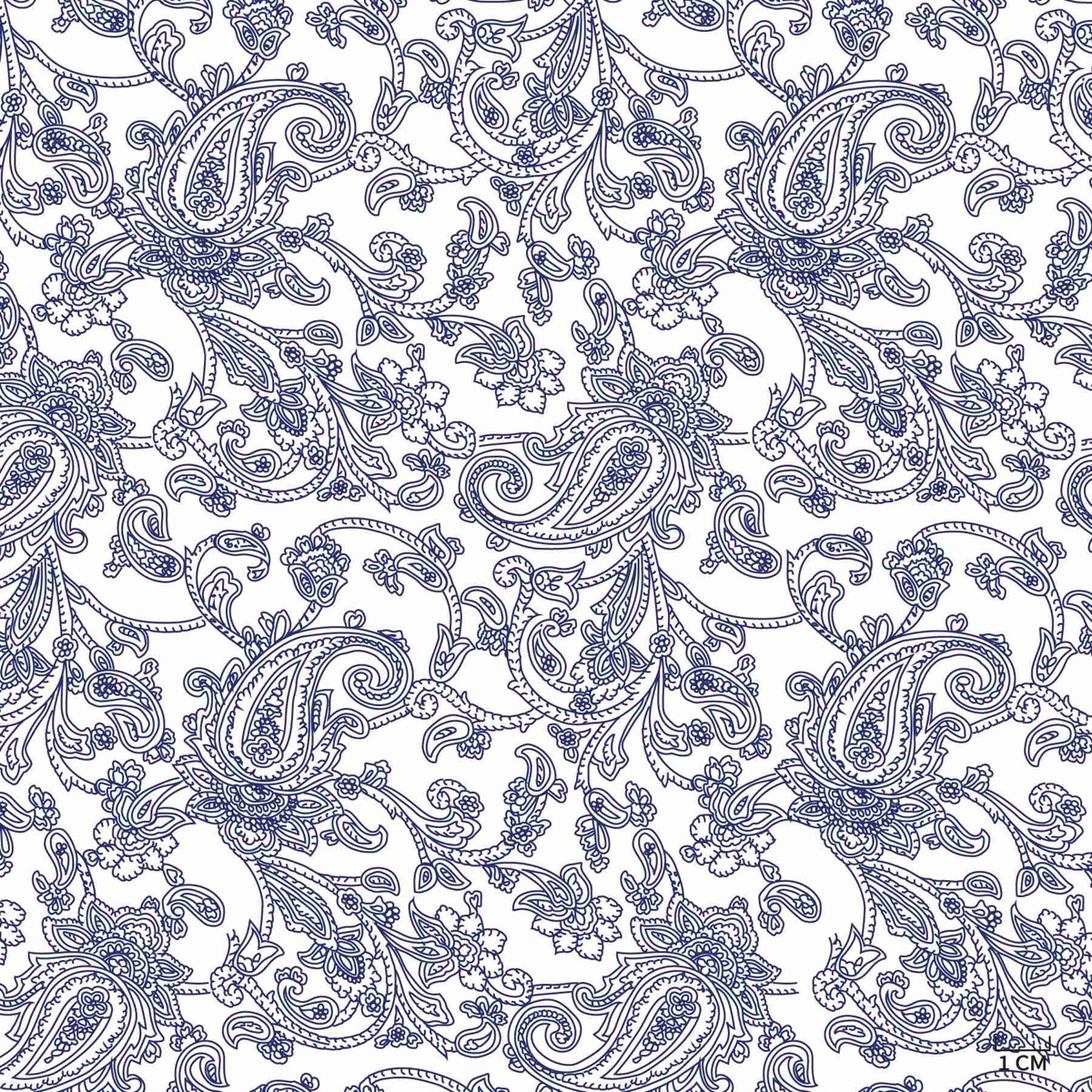 Navy Paisley on White