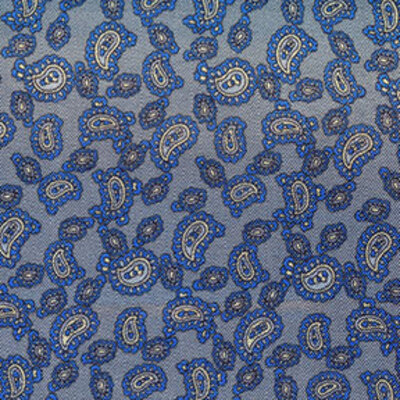 Paisley on Grey Blue