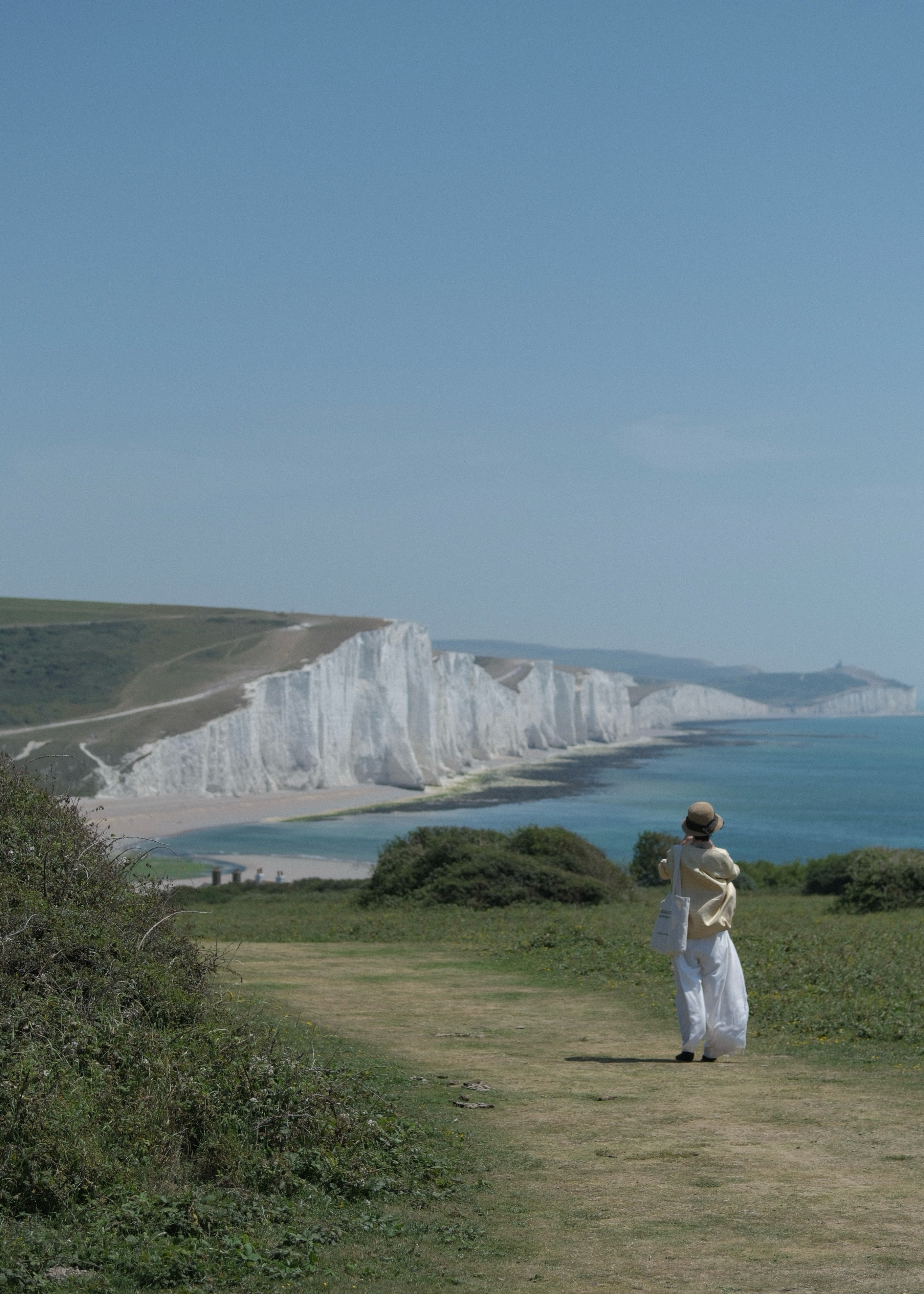 Cirrus Wide Leg Trousers — Back, In the Distance