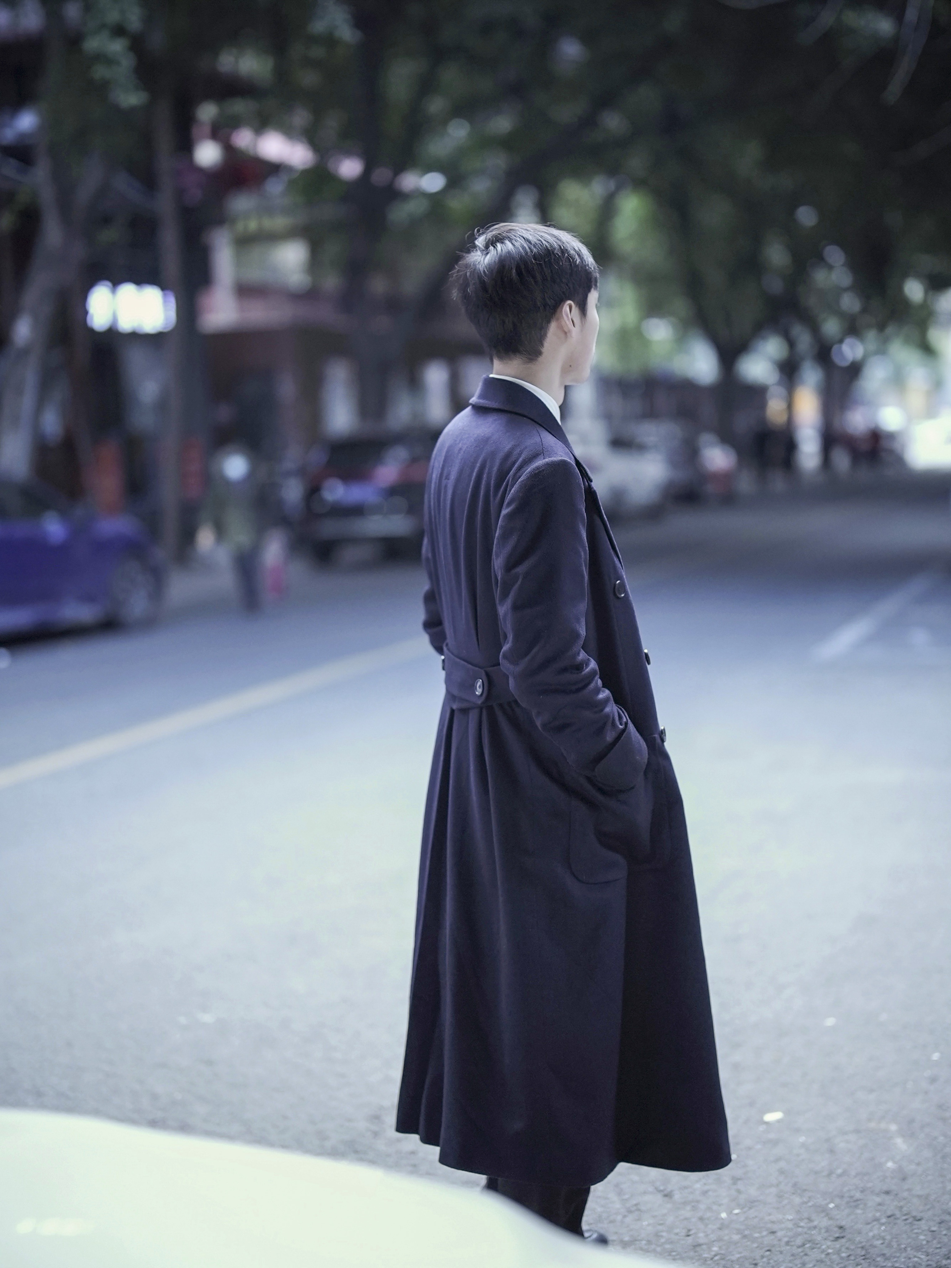 Cashmere Polo Coat — Navy, Side Back